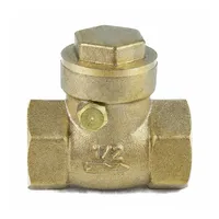 Клапан обратный VCSY3232P-T 1/2? Ду15 Ру40 Y-образный резьбовой пружинный корпус - нержавеющая сталь 316 диск - нержавеющая сталь 316 уплотнение - PTFE купить в Фергане