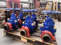 Задвижки буровые ЗББ.100.52.10.000  купить в Фергане
